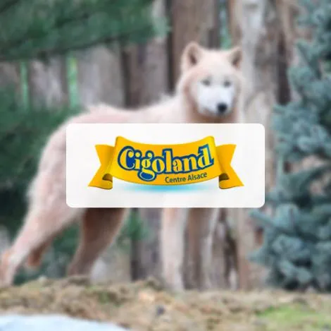 Produit CIGOLAND Image