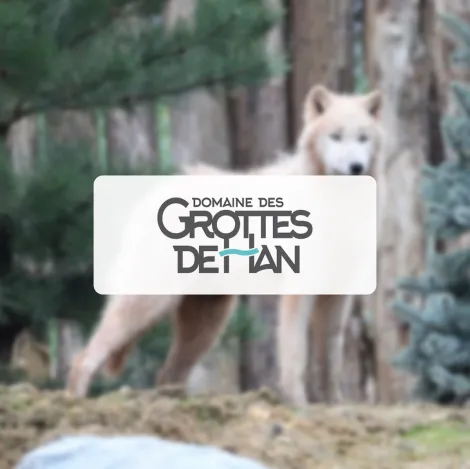 Produit DOMAINE DES GROTTES DE HAN Image